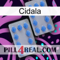 Cidala 20